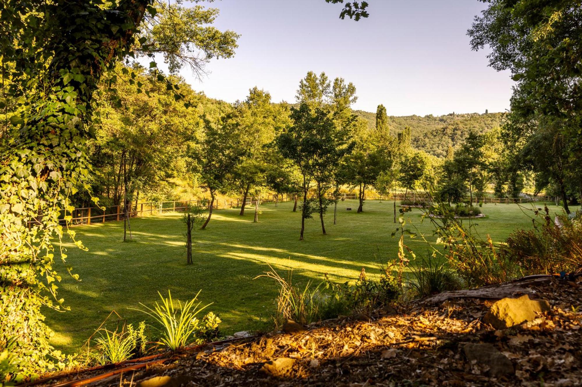 Podere La Casina Country Chic Rigomagno Ngoại thất bức ảnh